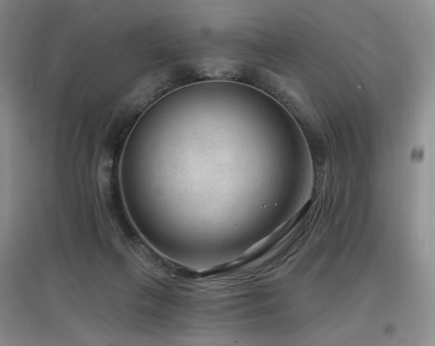 X0000097650263200802291457