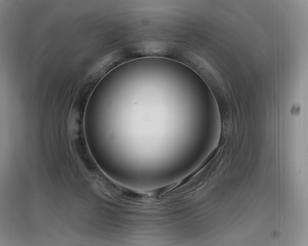 X0000097650264200802291457