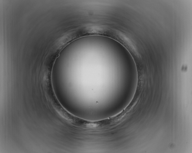 X0000097650265200802291457