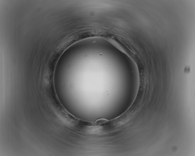 X0000097650266200802291457