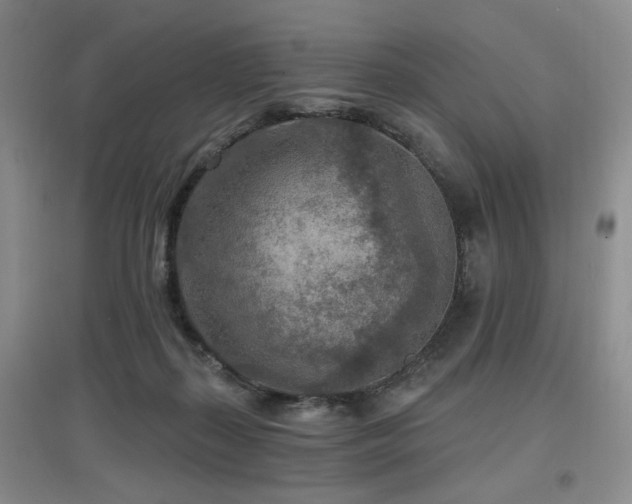 X0000097650267200802291457