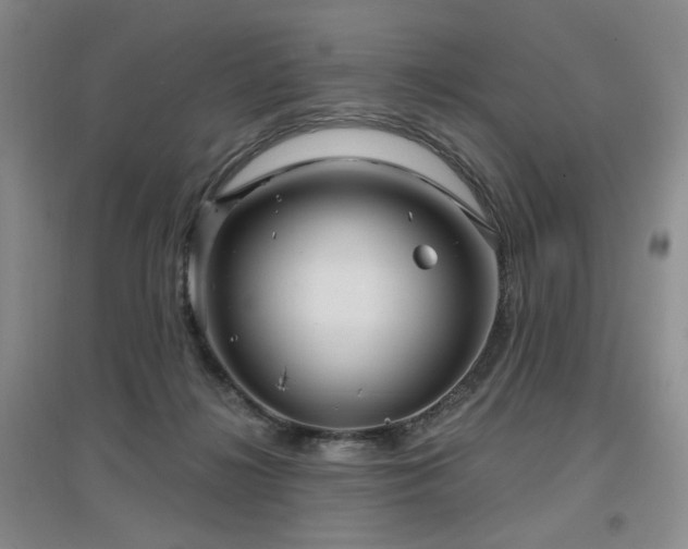 X0000097650268200802291457