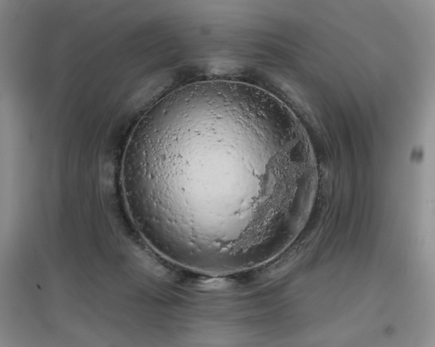 X0000097650269200802291457