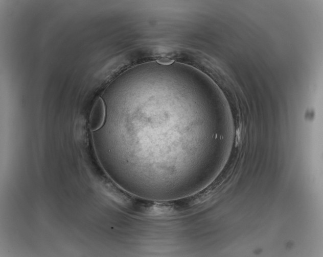 X0000097650270200802291457