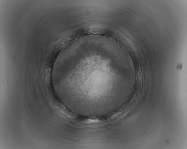 X0000097650271200802291457