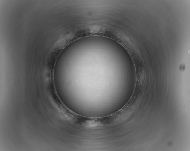 X0000097650272200802291457