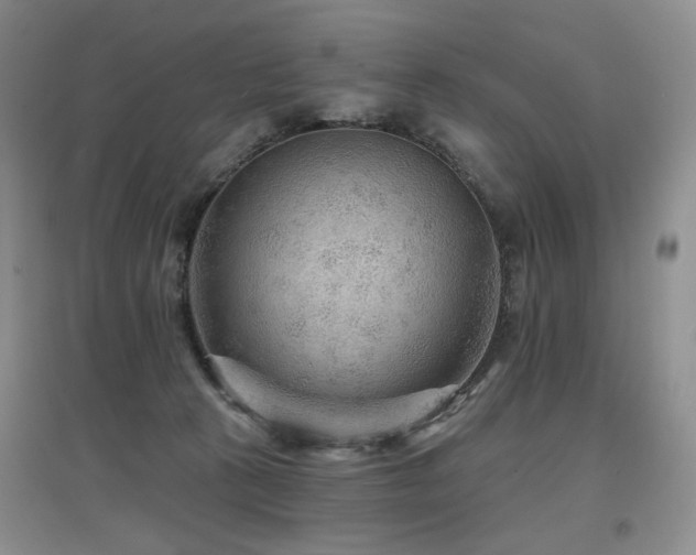 X0000097650273200802291457