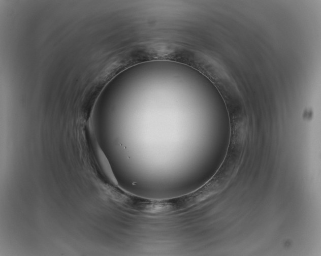 X0000097650274200802291457