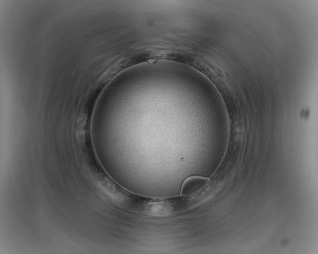 X0000097650275200802291457