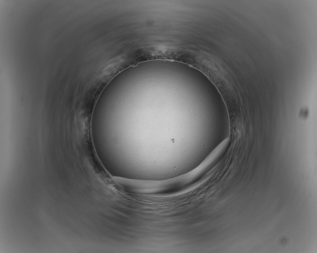 X0000097650276200802291457