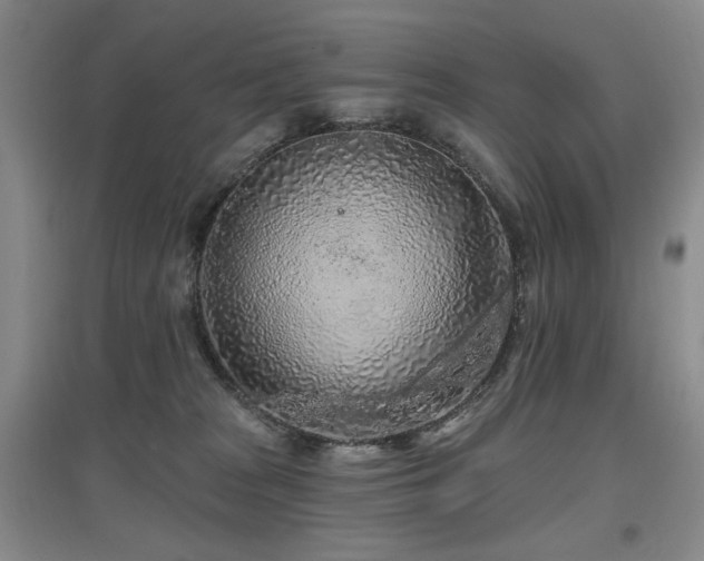 X0000097650277200802291457