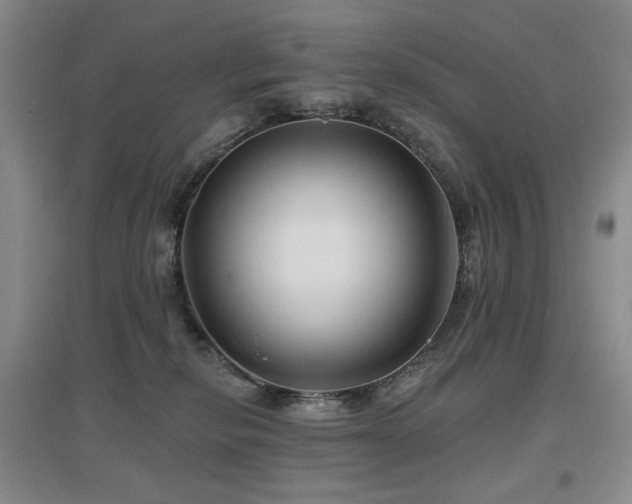 X0000097650278200802291457