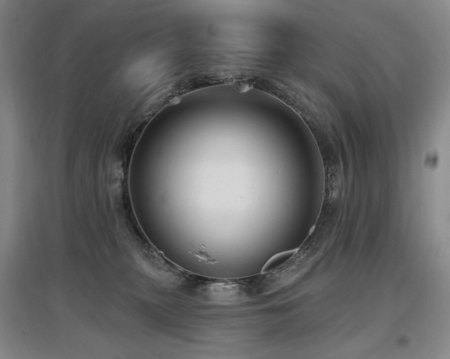 X0000097650279200802291457