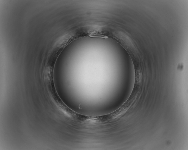 X0000097650280200802291457