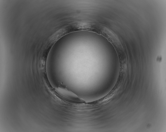 X0000097650281200802291457