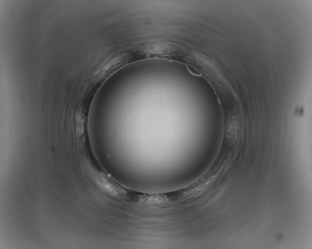 X0000097650282200802291457