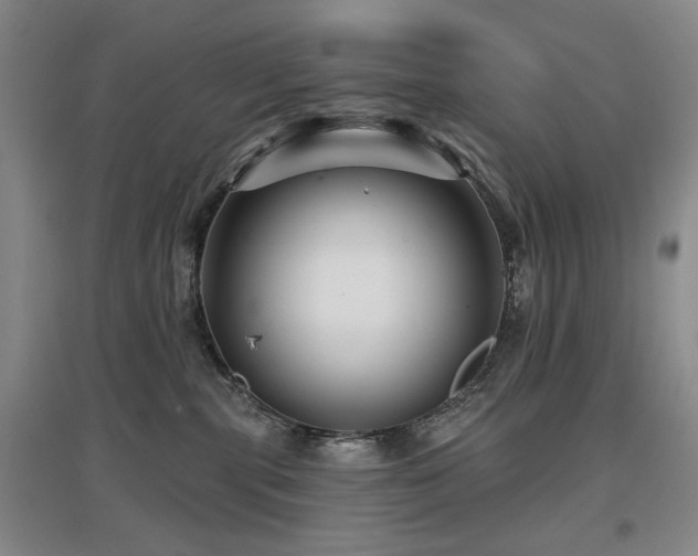 X0000097650283200802291457