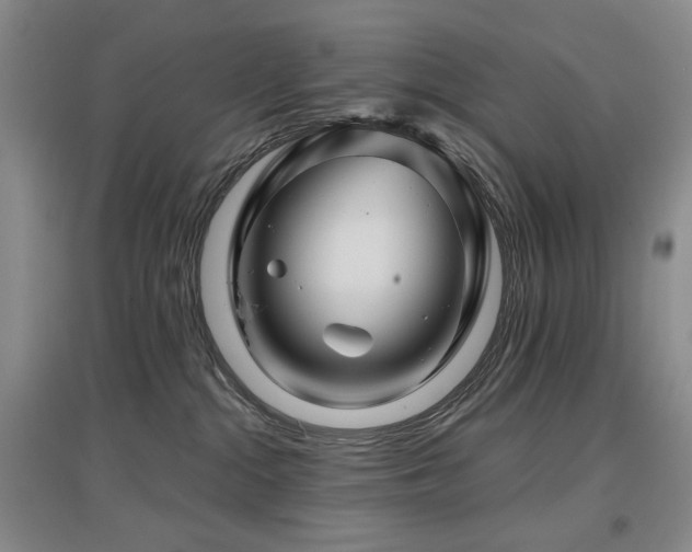 X0000097650284200802291457