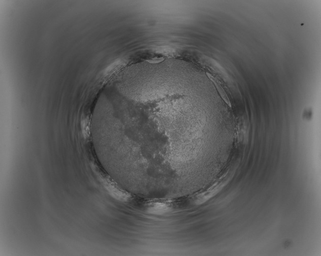 X0000097650285200802291457