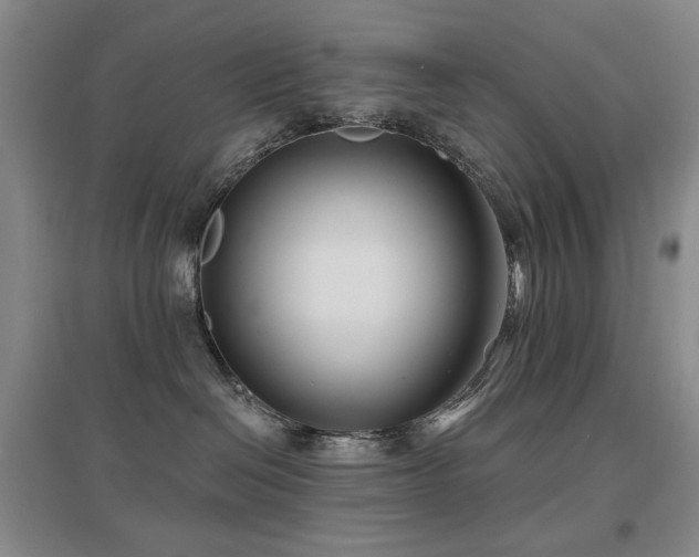 X0000097650286200802291457