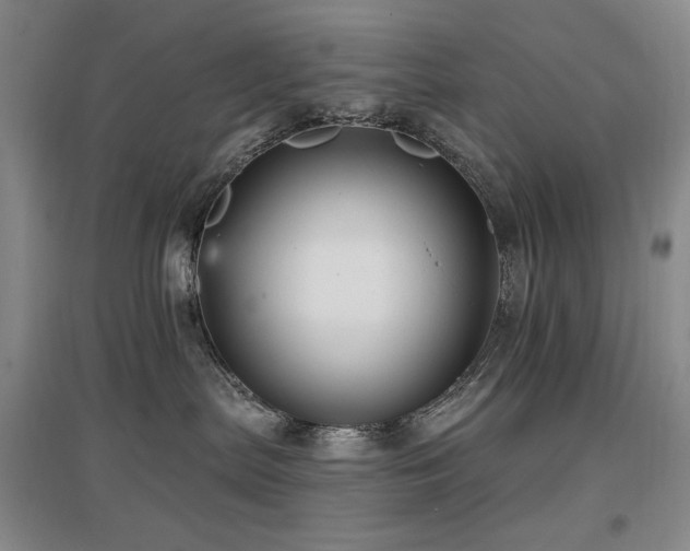 X0000097650287200802291457