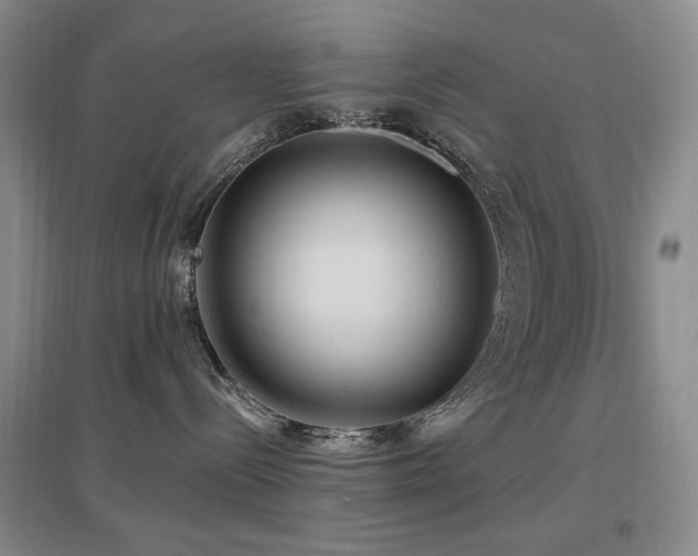 X0000097650288200802291457