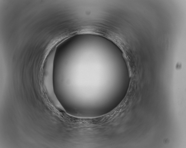 X0000097650289200802291456