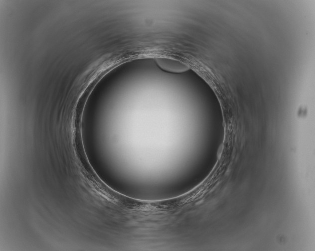 X0000097650290200802291456