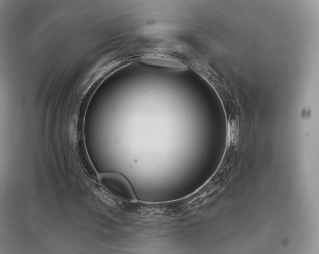 X0000097650291200802291456