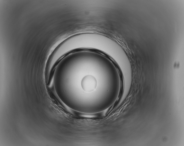 X0000097650292200802291456