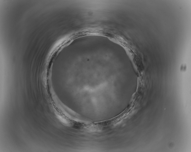 X0000097650293200802291456