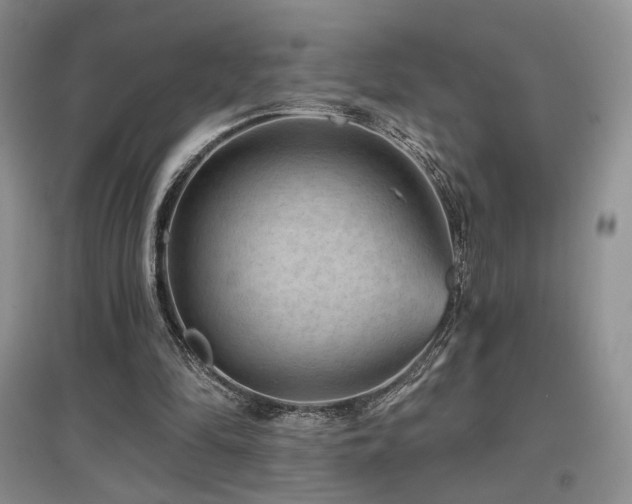 X0000097650294200802291456