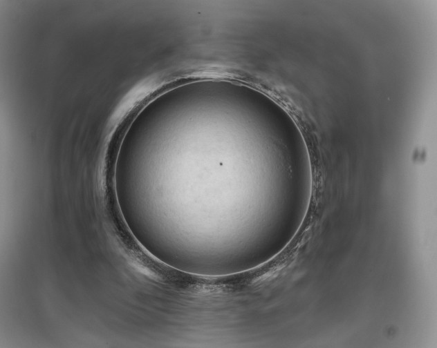 X0000097650296200802291456