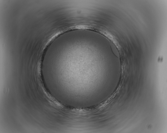 X0000097650297200802291456