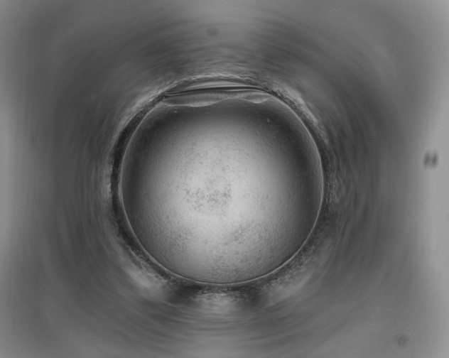 X0000097650299200802291456