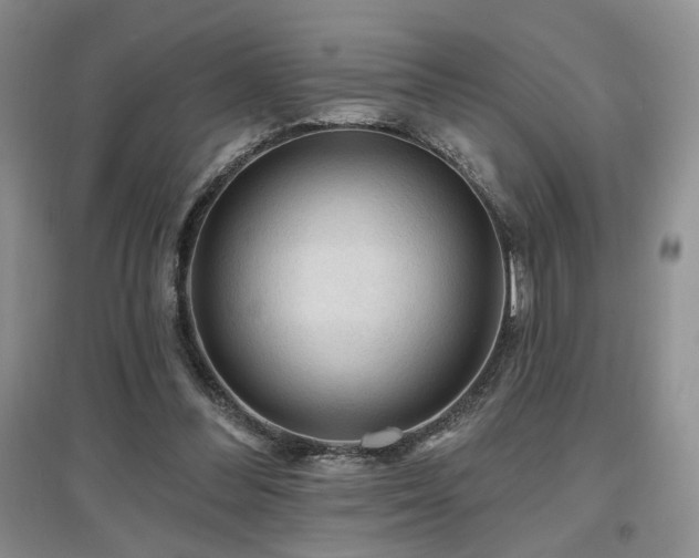 X0000097650300200802291456