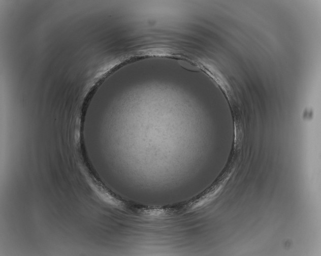 X0000097650301200802291456