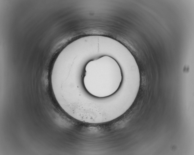 X0000097650302200802291456