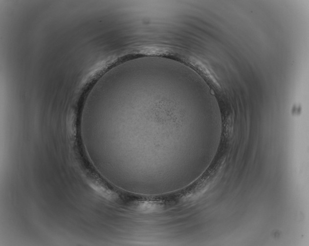 X0000097650303200802291456