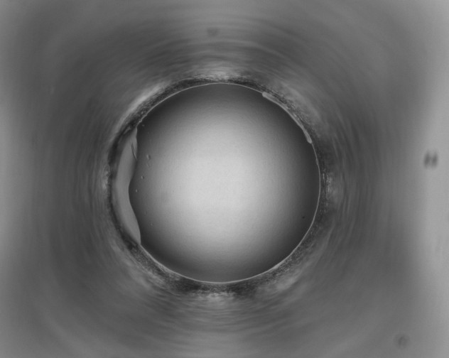 X0000097650304200802291456