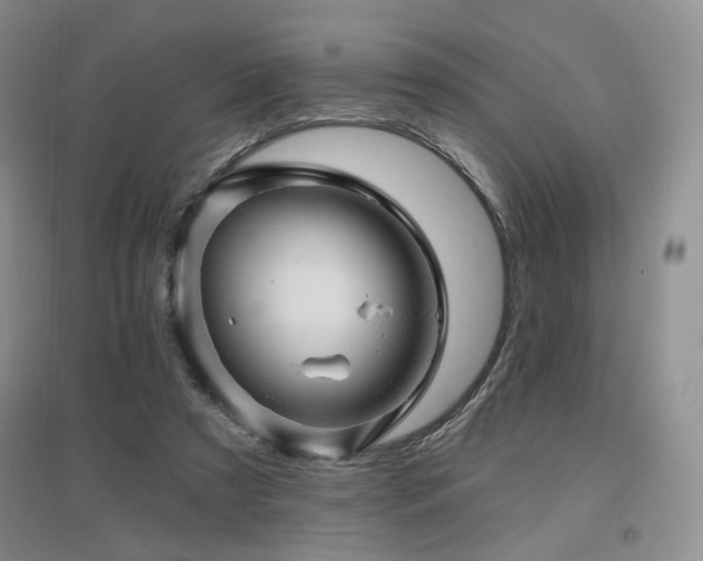 X0000097650305200802291456