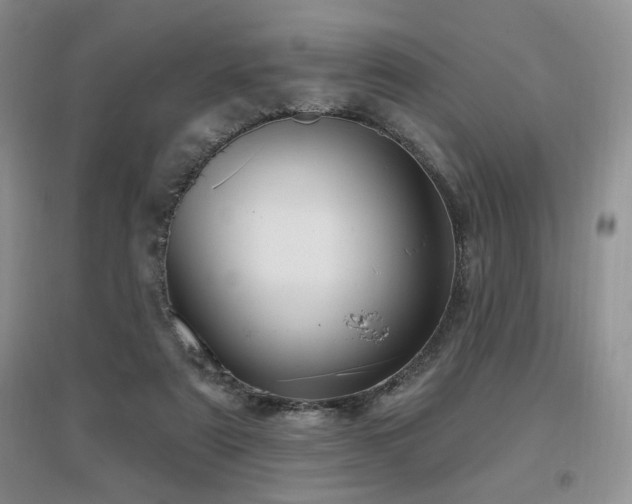 X0000097650307200802291456