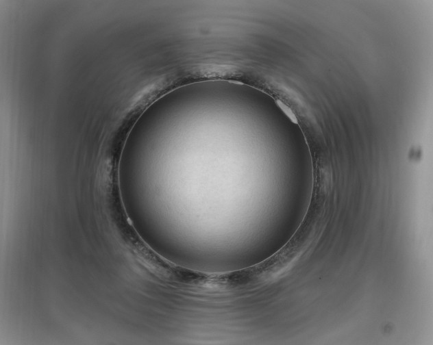 X0000097650308200802291456