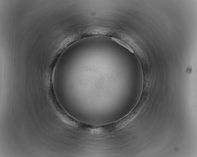 X0000097650309200802291456