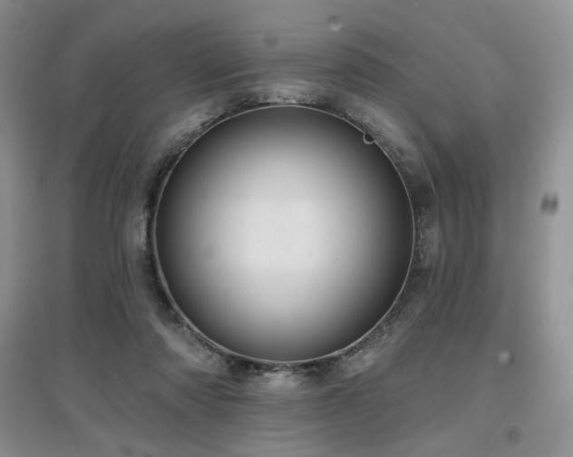 X0000097650310200802291456