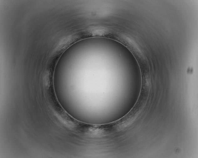 X0000097650311200802291456