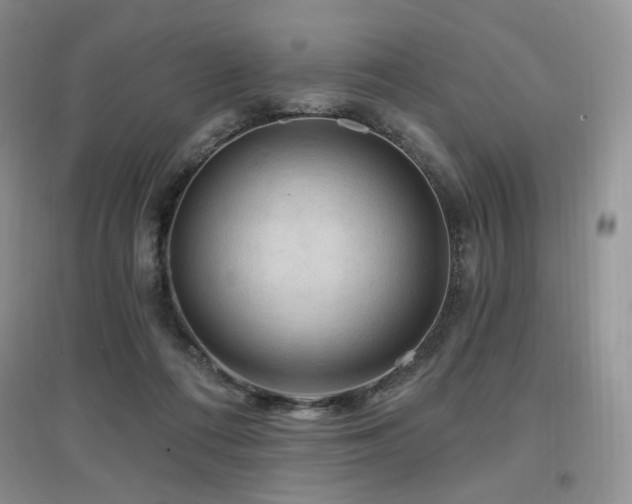 X0000097650312200802291456