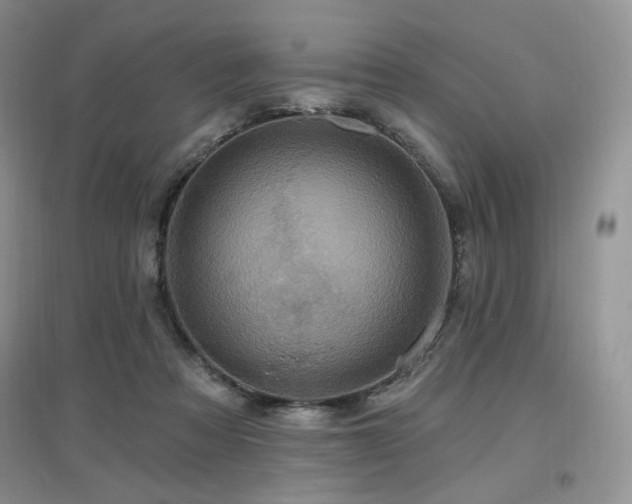 X0000097650313200802291456