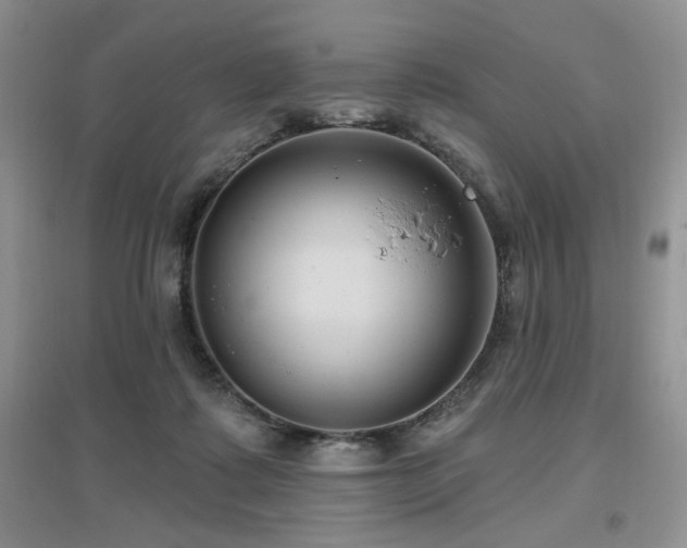 X0000097650315200802291456