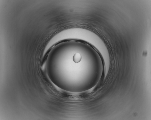 X0000097650316200802291456